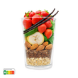 Starter  –  Erdbeere Vanille