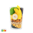 Starter  –  Mango