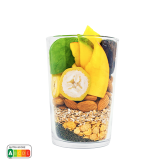 Starter – Mangue