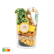 Starter  –  Ingwer Greens