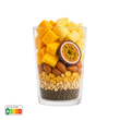 Starter  –  Tropical Mix